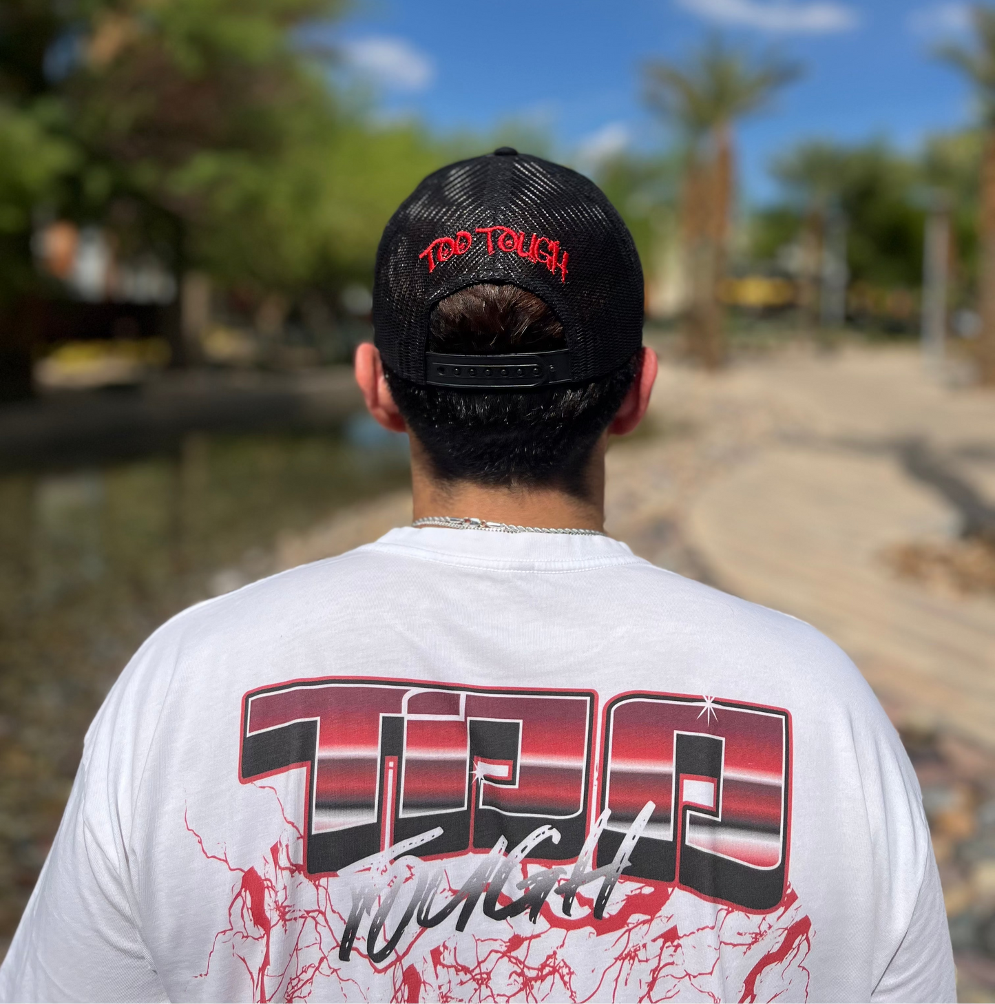 ICON TRUCKER TT HATS